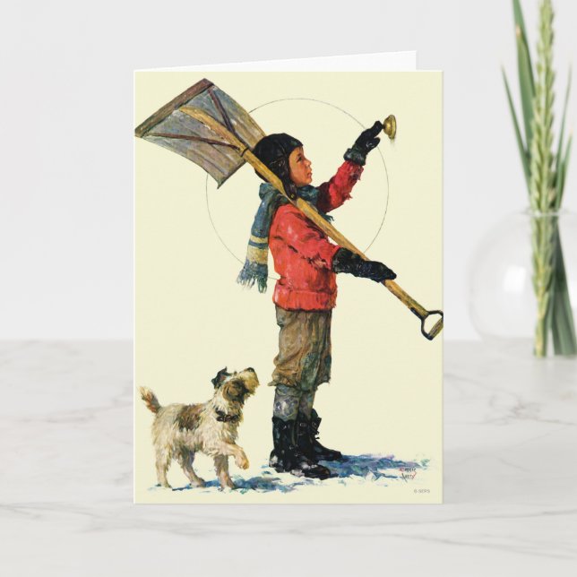 Cartes Pour Fêtes Annuelles Canard souchet de neige (Devant)