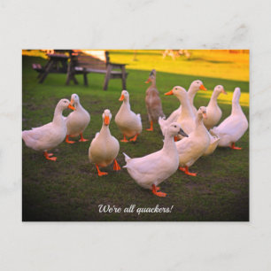 Cartes Pour Fêtes Annuelles Canards dans le parc Drôle Quackers
