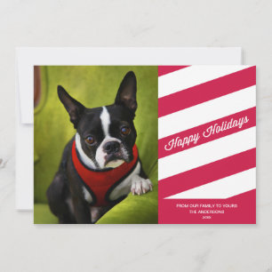 CARTES POUR FÊTES ANNUELLES CANDY STRIPES   HOLIDAY PHOTO CARD