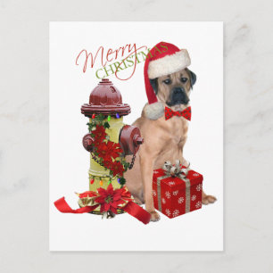 Cartes Pour Fêtes Annuelles Cane Corso Joyeux Noël