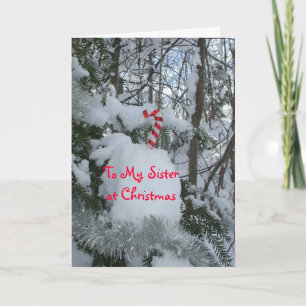 Cartes Pour Fêtes Annuelles Cane de Sister Christmas