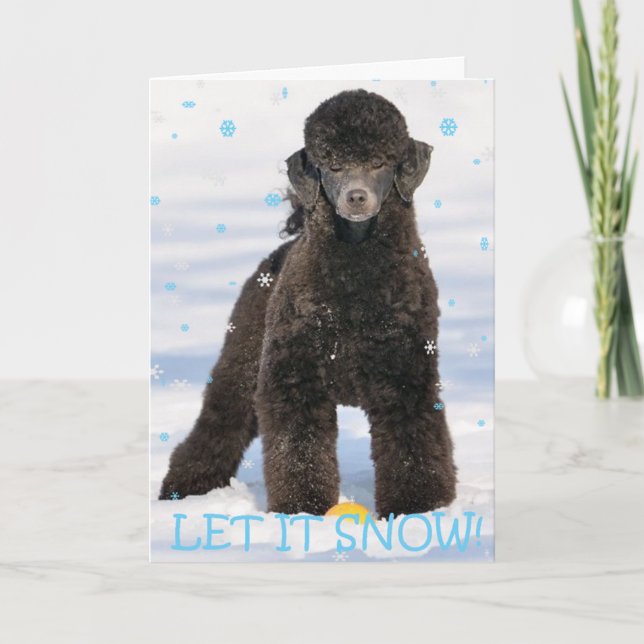 Cartes Pour Fêtes Annuelles Caniche dans la neige (Devant)