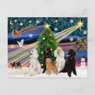 Cartes Pour Fêtes Annuelles Canicules magiques de Noël - Standard (5)