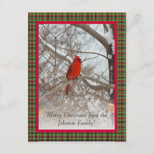 Cartes Pour Fêtes Annuelles Cardinal avec cadre