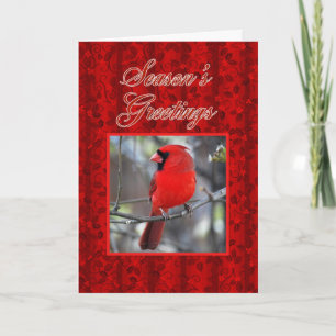 Cartes Pour Fêtes Annuelles Cardinal Bonnes Fêtes