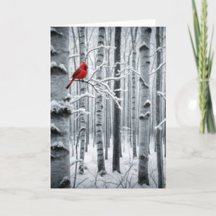 Cartes Pour Fêtes Annuelles Cardinal d'anniversaire dans une forêt de bouleaux