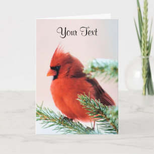 Cartes Pour Fêtes Annuelles Cardinal dans le sapin épousseté par neige