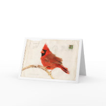 Cardinal de Noël