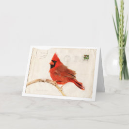 Cartes Pour Fêtes Annuelles Cardinal de Noël