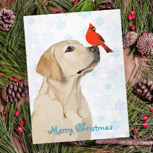 Cartes Pour Fêtes Annuelles Cardinal de Noël du Laboratoire Jaune - adorable c