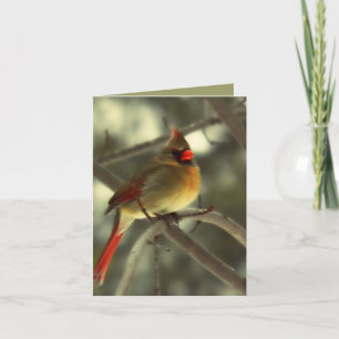 Cartes Pour Fêtes Annuelles Cardinal des femmes de vacances