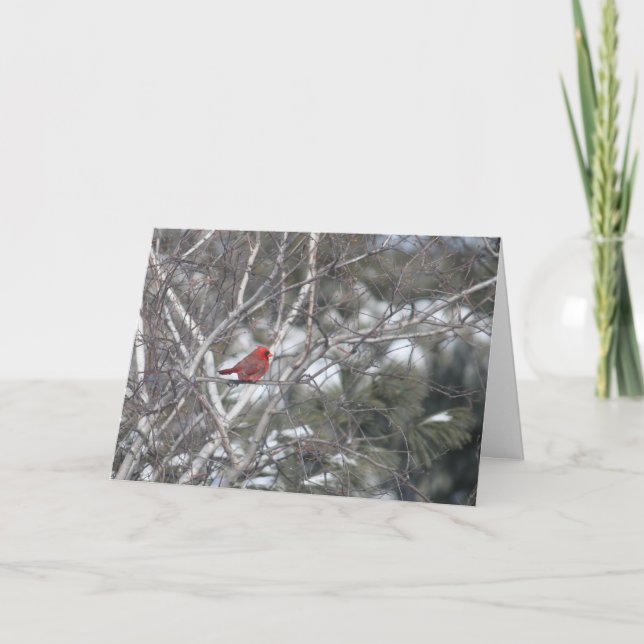 Cartes Pour Fêtes Annuelles Cardinal d'hiver (Devant)
