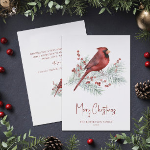 Cartes Pour Fêtes Annuelles Cardinal d'hiver de Noël sur le pin neige