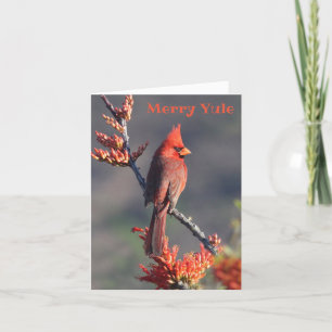Cartes Pour Fêtes Annuelles Cardinal Festif - Joyeux Yule