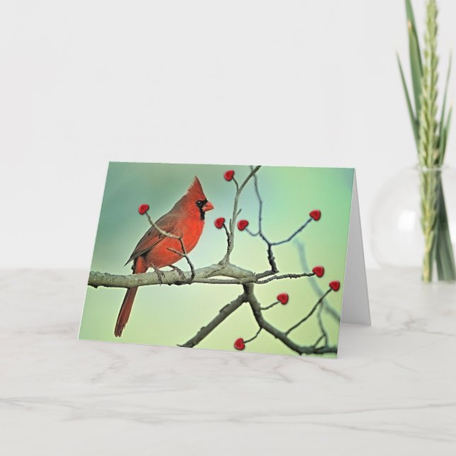 Cartes Pour Fêtes Annuelles Cardinal heureux de Saint Valentin (Devant)