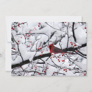 Cartes Pour Fêtes Annuelles Cardinal Rouge Arbre à Neige Photo Appartement de 