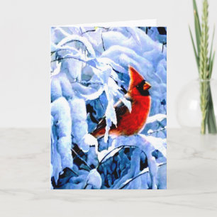 Cartes Pour Fêtes Annuelles Cardinal Rouge dans la neige d'hiver