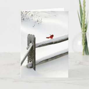 Cartes Pour Fêtes Annuelles Cardinal sur la barrière de Milou