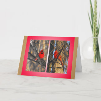 Cartes Pour Fêtes Annuelles Cardinaux dans un matin "croquant" d'hiver