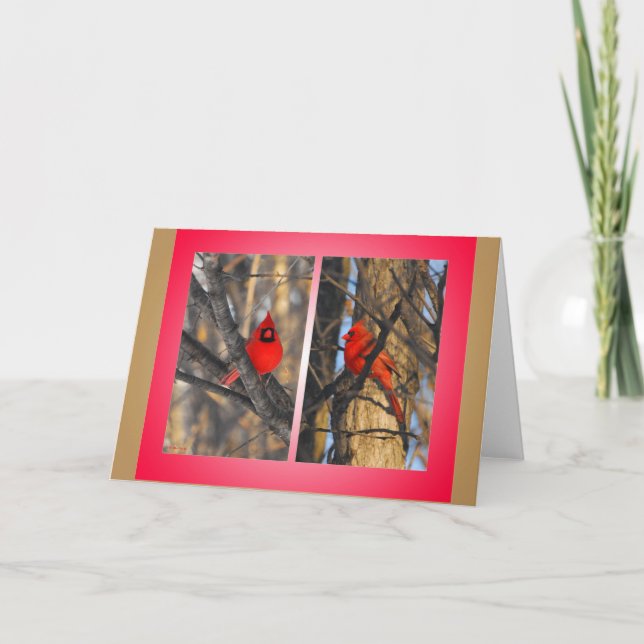 Cartes Pour Fêtes Annuelles Cardinaux dans un matin "croquant" d'hiver (Devant)