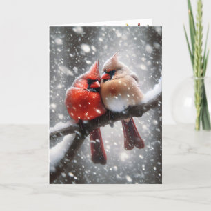 Cartes Pour Fêtes Annuelles Cardinaux de Noël sur une branche de neige