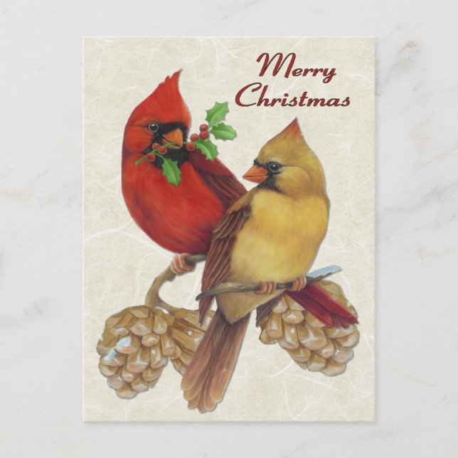 Cartes Pour Fêtes Annuelles Cardinaux d'hiver (Devant)