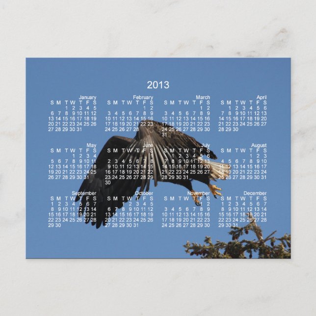 Cartes Pour Fêtes Annuelles Carénage des ailes ; Calendrier 2013 (Devant)