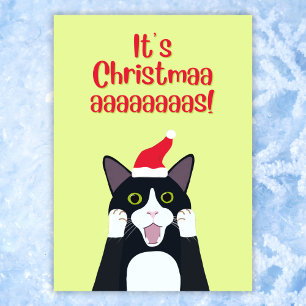Cartes Pour Fêtes Annuelles Caricature pour chat tuxedo