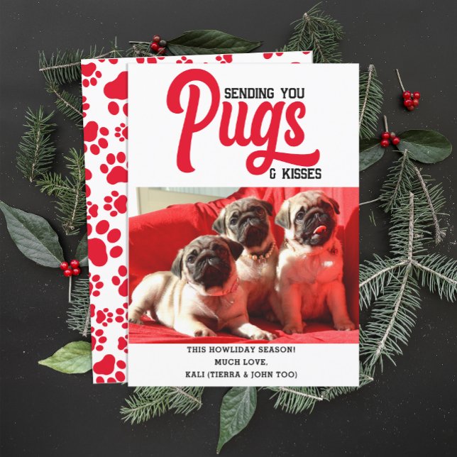 Cartes Pour Fêtes Annuelles Carlin customisé Chien photo de Noël Photo personn (Créateur téléchargé)