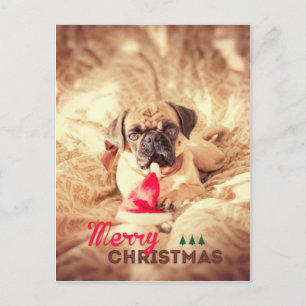 Cartes Pour Fêtes Annuelles Carlin de Joyeux Noël