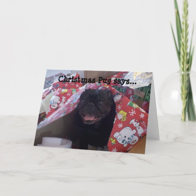 Cartes Pour Fêtes Annuelles Carlin de Noël (Devant)