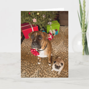 Cartes Pour Fêtes Annuelles Carlin et boxeur s'asseyant devant l'arbre de Noël