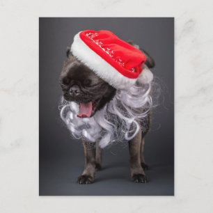 Cartes Pour Fêtes Annuelles Carlin Yawning in a Santa Hat and Beard