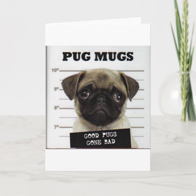 Cartes Pour Fêtes Annuelles Carlins (Devant)