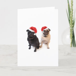 Cartes Pour Fêtes Annuelles carlins de noël