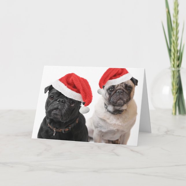 Cartes Pour Fêtes Annuelles carlins de noël (Devant)