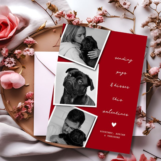 Cartes Pour Fêtes Annuelles Carlins et baisers Collage de photos Valentines (Créateur téléchargé)