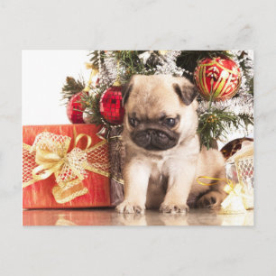 Cartes Pour Fêtes Annuelles Carlins et cadeaux de Noël