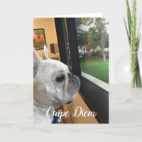 Carpe Diem-Your world attend!