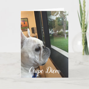 Cartes Pour Fêtes Annuelles Carpe Diem-Your world attend!
