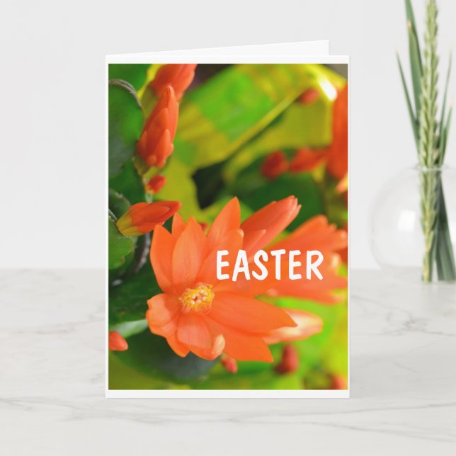 CARTES POUR FÊTES ANNUELLES **CARTE DE PÂQUES SPÉCIALE VOUS SOUHAITE*** (Devant)