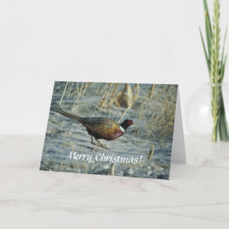 Cartes Pour Fêtes Annuelles Carte/faisan Anneau-étranglé/Joyeux Noël !
