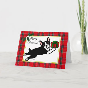 Cartes Pour Fêtes Annuelles Carton de Noël Tartan de Boston Terrier