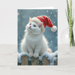 Cartes Pour Fêtes Annuelles Casquette de Noël sur chat blanc