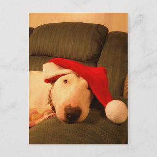 Cartes Pour Fêtes Annuelles casquette de père Noël de Noël de merra