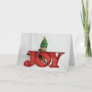Cartes Pour Fêtes Annuelles Casquette incertain de chat d'arbre de Noël de