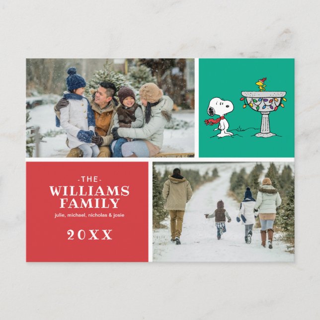 Cartes Pour Fêtes Annuelles Casse-noisette | Bassin d'oiseaux gelé Snoopy & Wo (Devant)