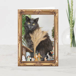 Cartes Pour Fêtes Annuelles Cat behind the nativity set