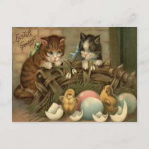 Cartes Pour Fêtes Annuelles Cat Kitten Easter Colored Painted Egg Chick