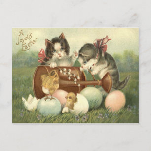 Cartes Pour Fêtes Annuelles Cat Kitten Easter Colored Painted Egg Chick